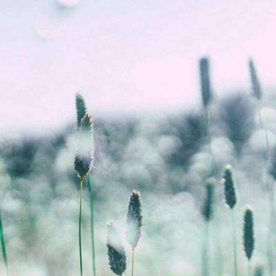 8188www威尼斯app下载